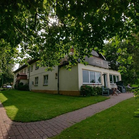 Gasthaus Zum Frohsinn 보사우 외부 사진
